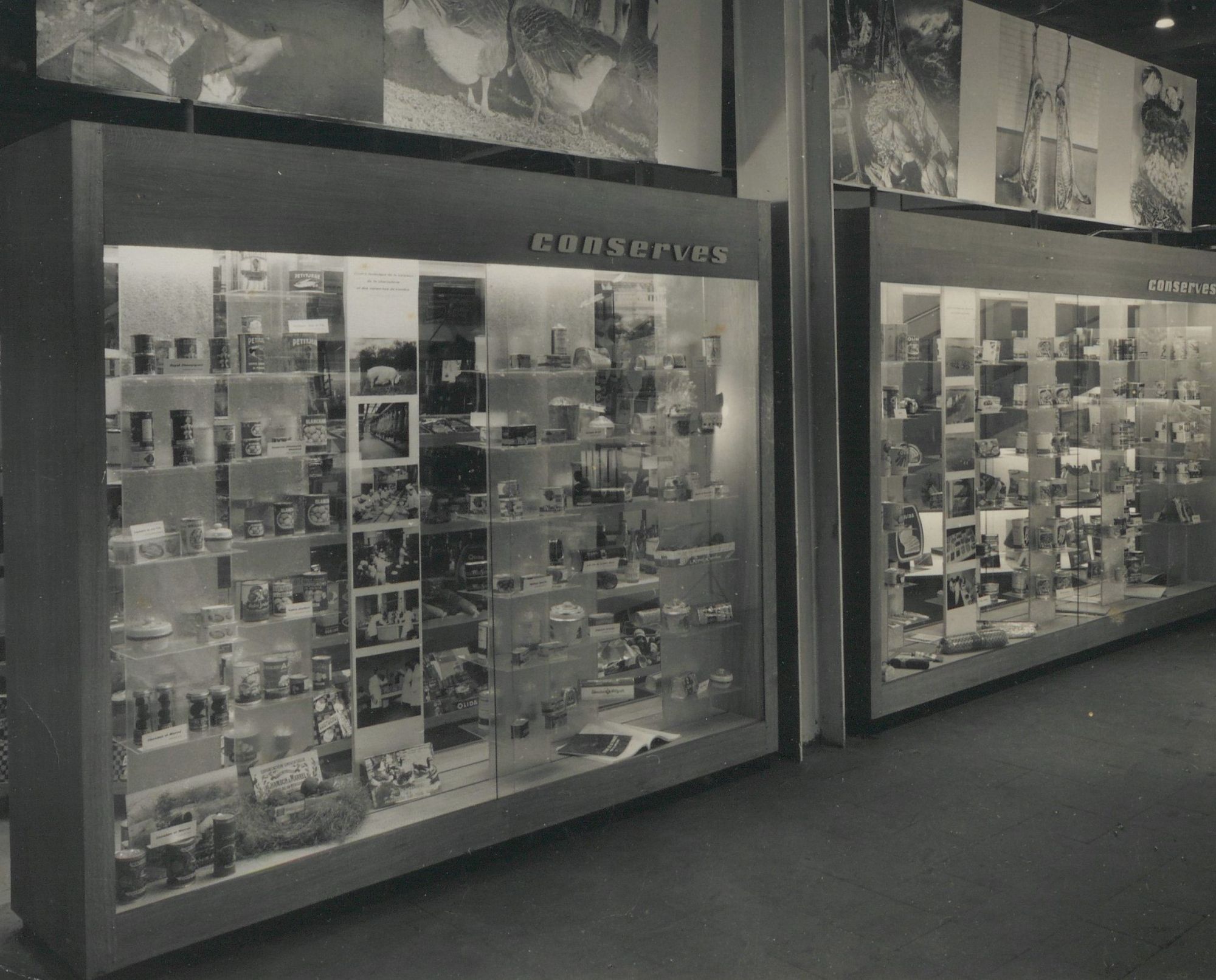 Lancez-vous dans la conserve ! 