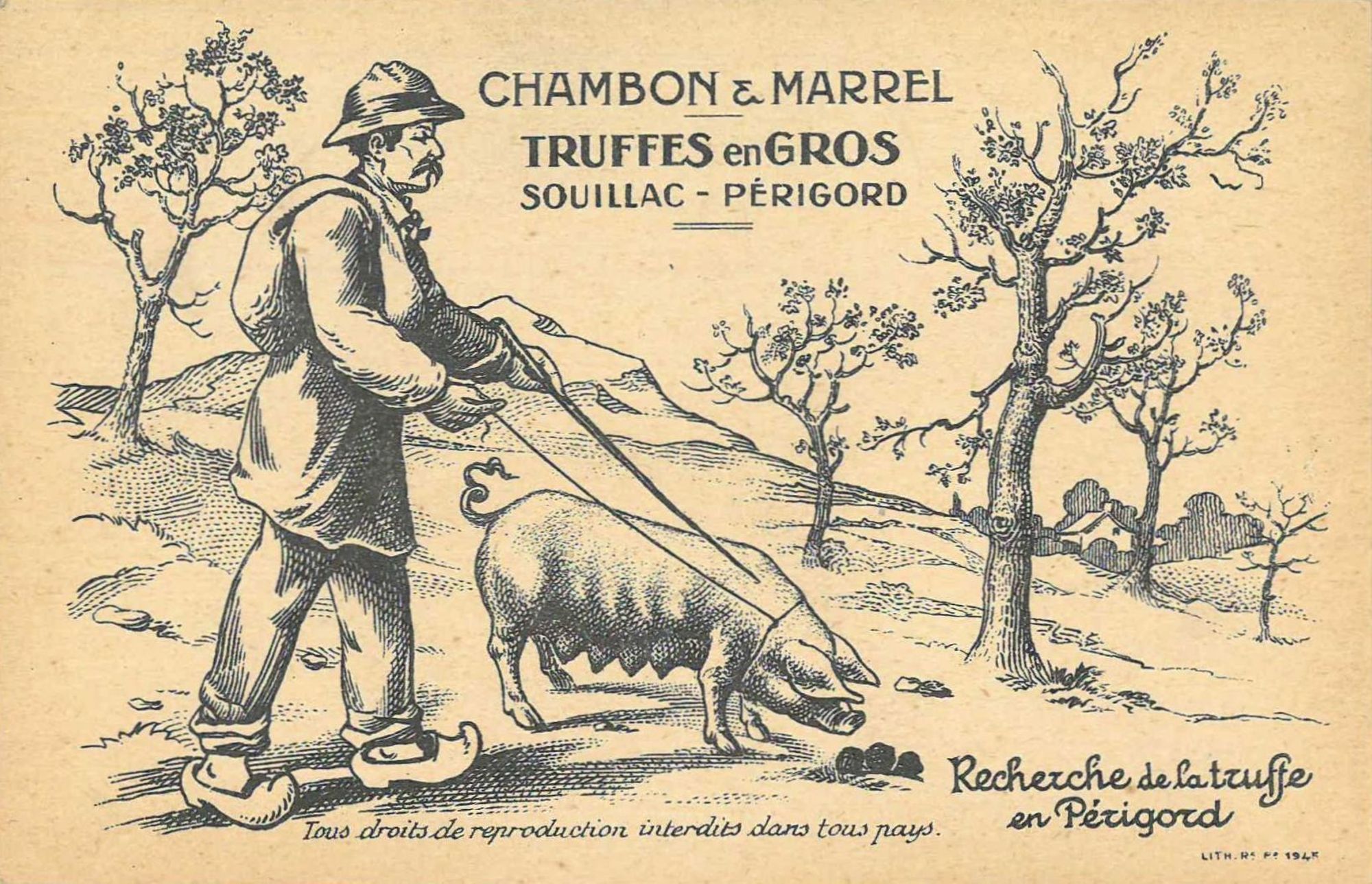 Archives d'entreprises lotoises : la conserve de la truffe 