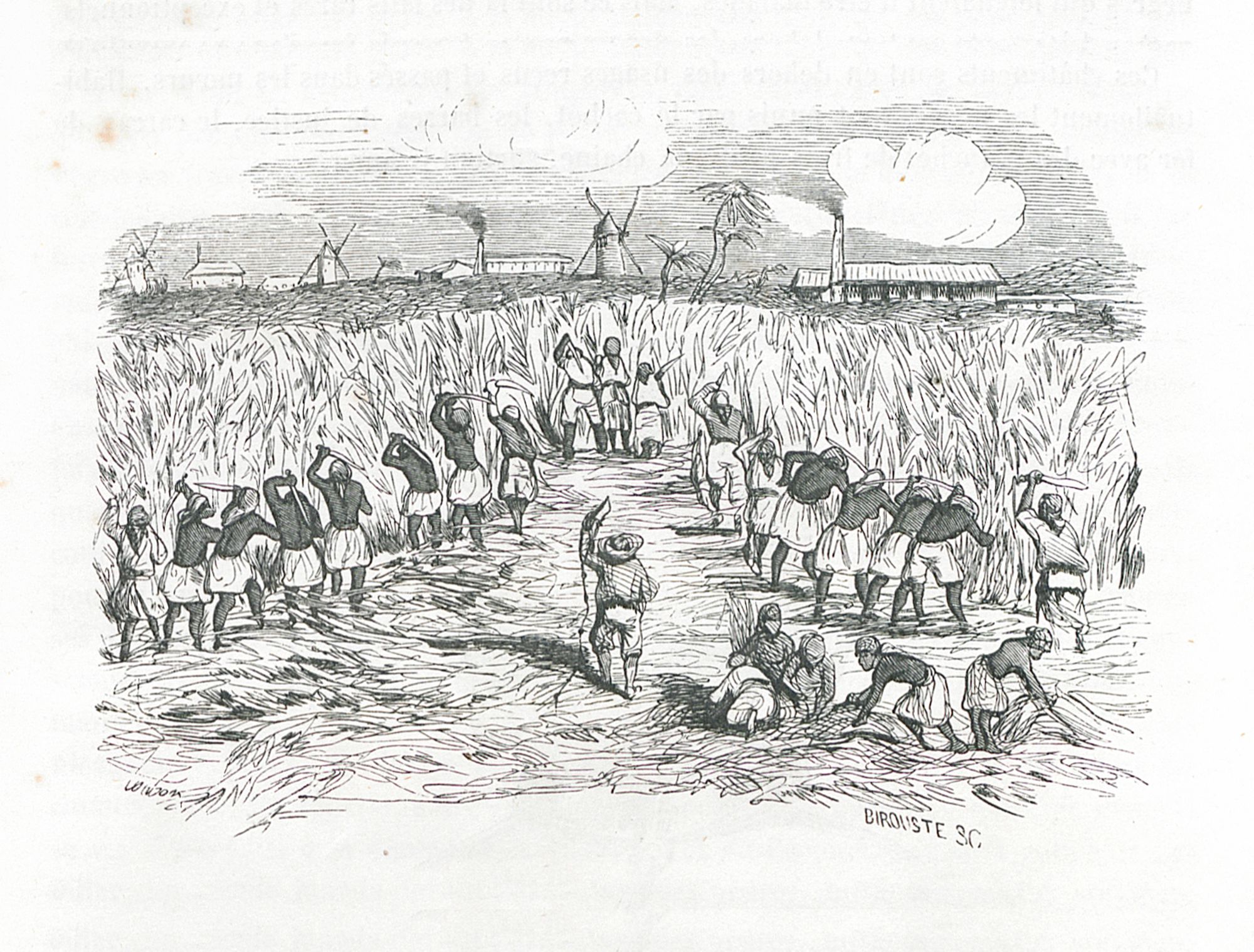 Négoces internationaux et traite atlantique au 18e siècle